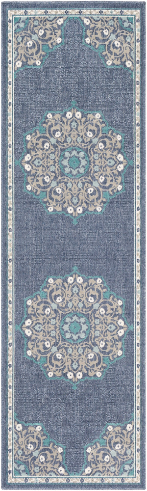 Alfresco ALF-9678 Traditional Olefin Rug ALF9678-2379 Charcoal, Taupe, Teal, White, Aqua 100% Olefin 2'5" x 7'10"