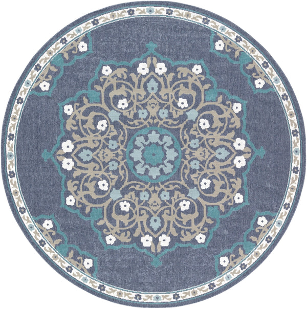 Alfresco ALF-9678 Traditional Olefin Rug ALF9678-89RD Charcoal, Taupe, Teal, White, Aqua 100% Olefin 8'10" Round