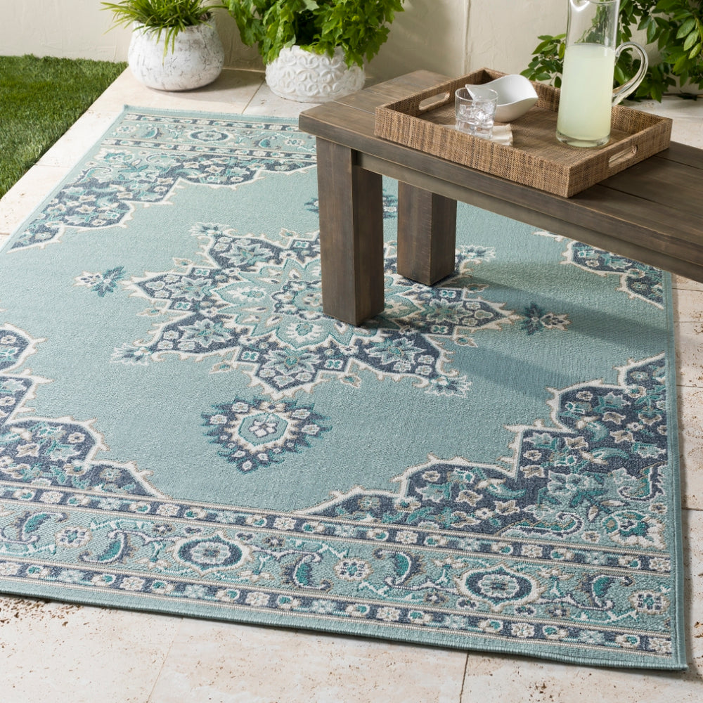 Alfresco ALF-9687 Traditional Olefin Rug ALF9687-2379 Charcoal, Aqua, Teal, White 100% Olefin 2'5" x 7'10"
