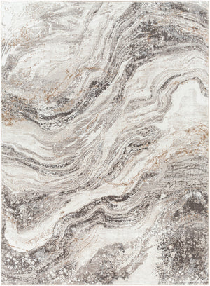 Surya Allegro Modern ALG-2319 Rug ALG2319-9212