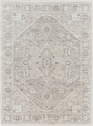 Surya Allegro Traditional ALG-2324 Rug ALG2324-9212