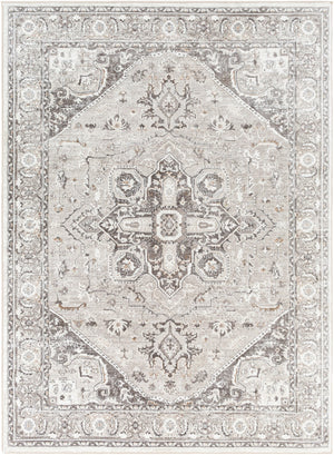 Surya Allegro Traditional ALG-2325 Rug ALG2325-9212