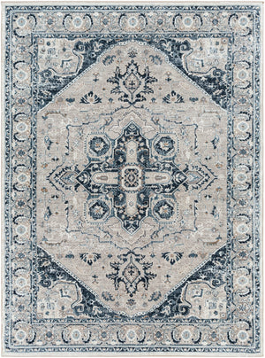 Surya Allegro Traditional ALG-2326 Rug ALG2326-9212