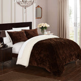 Josepha Brown Twin X-Long 2pc Comforter Set