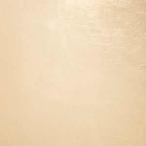 Lillia Gold Leaf Coffee Table Gold Metal / Tempered Glass AMH8340A