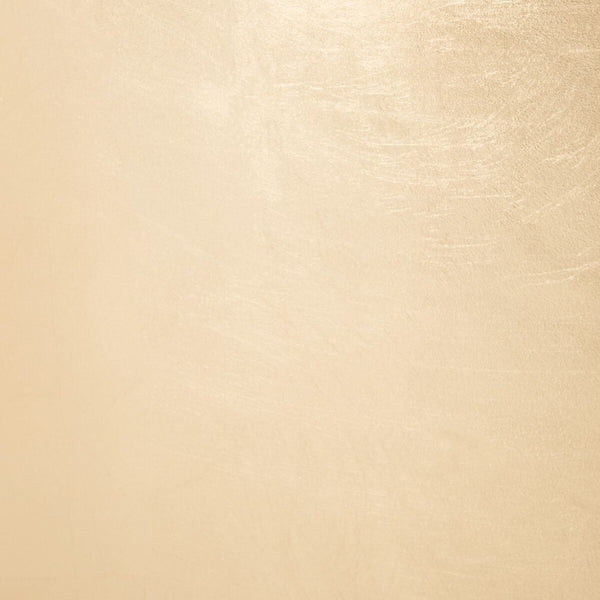 Lillia Gold Leaf Coffee Table Gold Metal / Tempered Glass AMH8340A