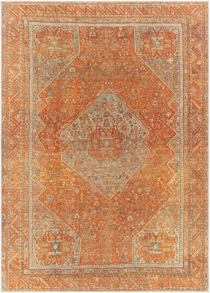 Surya Amelie Traditional AML-2351 Rug AML2351-81012