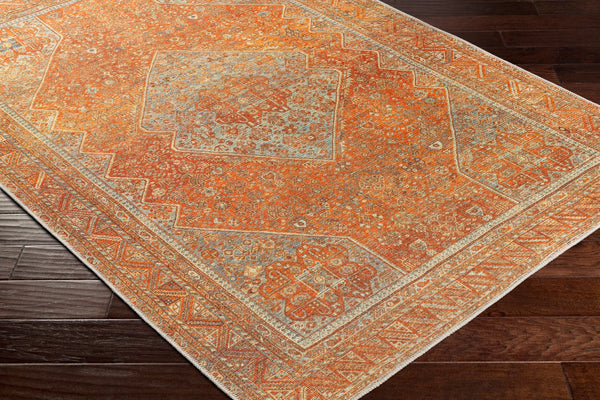 Surya Amelie Traditional AML-2351 Rug AML2351-81012
