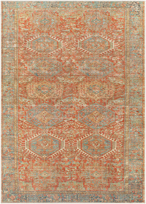 Surya Amelie Traditional AML-2357 Rug AML2357-81012