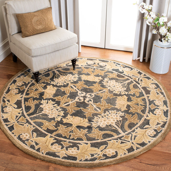 Safavieh An541 Hand Tufted Wool Rug AN541A-2
