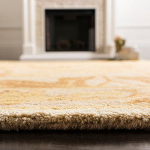 Safavieh An541 Hand Tufted Wool Rug AN541B-2