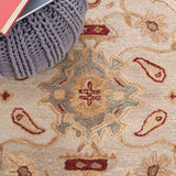 Safavieh An543 Hand Tufted Wool Pile Rug AN543C-2