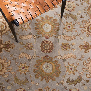 Safavieh An557 Hand Tufted Wool Pile Rug AN557A-2