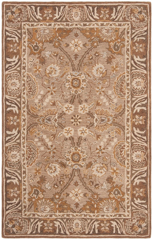 Safavieh An558 Hand Tufted Wool Pile Rug AN558A-2