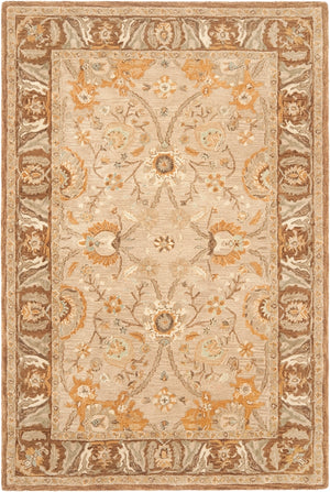 Safavieh An558 Hand Tufted Wool Pile Rug AN558A-2