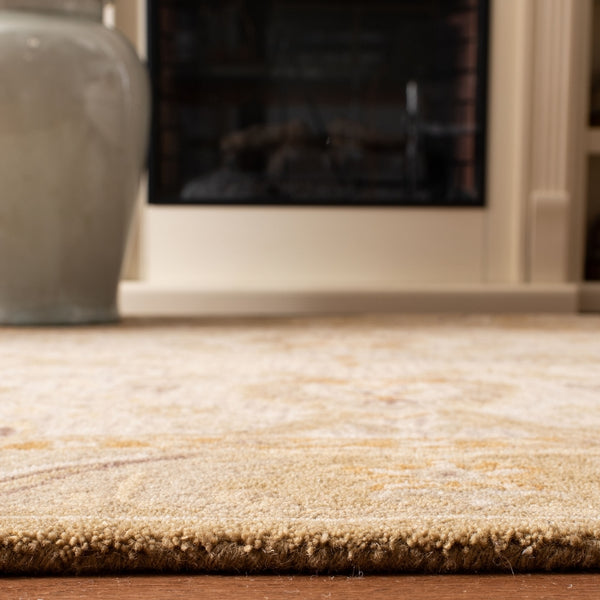 Safavieh An558 Hand Tufted Wool Pile Rug AN558B-2