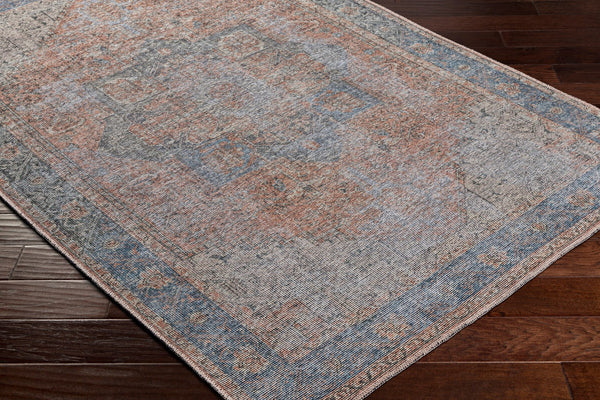 Surya Atlanta Traditional ANL-2304 Rug ANL2304-9312
