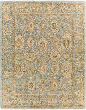 Anatolia ANY-2307 Traditional Wool Rug ANY2307-912 Sage, Dark Brown, Tan, Beige 100% Wool 9' x 12'