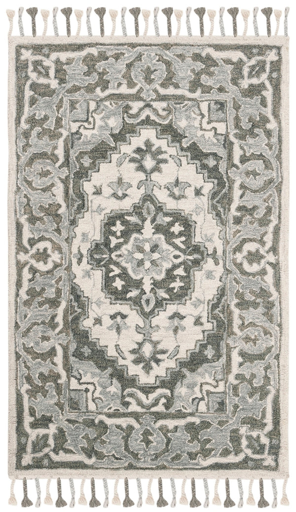 Safavieh Aspen 122 Hand Tufted Wool Rug APN122A-3