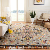 Safavieh Aspen 207 Hand Tufted Wool Traditional Rug APN207F-9SQ