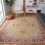 Safavieh Aspen 506 Hand Tufted Wool Rug APN506A-9