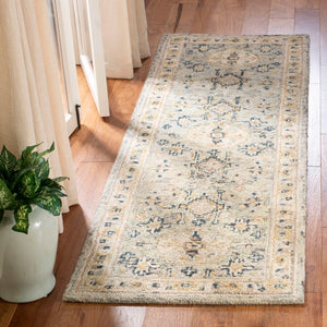 Safavieh Aspen 601 Hand Tufted Wool Rug APN601W-9SQ