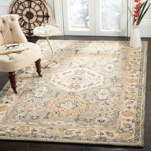Safavieh Aspen 601 Hand Tufted Wool Rug APN601W-9SQ