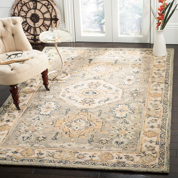 Safavieh Aspen 601 Hand Tufted Wool Rug APN601W-9SQ