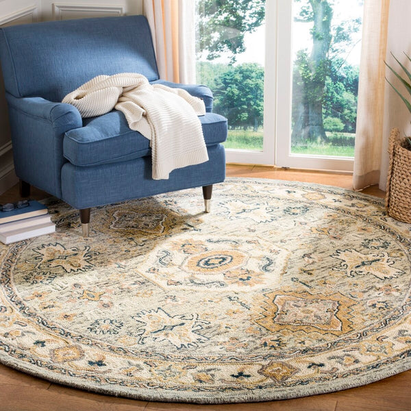 Safavieh Aspen 601 Hand Tufted Wool Rug APN601W-9SQ