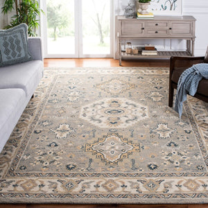 Safavieh Aspen 601 Hand Tufted Wool Rug APN601W-9SQ
