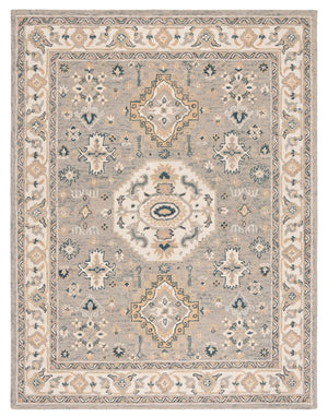 Safavieh Aspen 601 Hand Tufted Wool Rug APN601W-9SQ