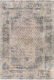 Aspendos Traditional APS-2300 Rug