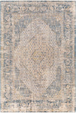 Surya Aspendos Traditional APS-2300 Rug APS2300-6796