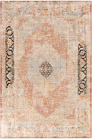 Surya Aspendos Traditional APS-2302 Rug APS2302-6796