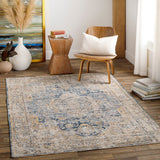 Surya Aspendos Traditional APS-2304 Rug APS2304-9122