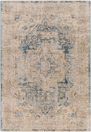 Surya Aspendos Traditional APS-2307 Rug APS2307-9122