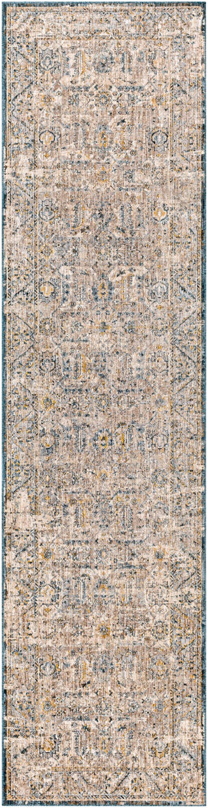 Surya Aspendos Traditional APS-2313 Rug APS2313-2773