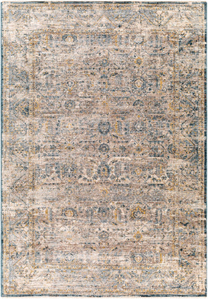 Surya Aspendos Traditional APS-2313 Rug APS2313-9122