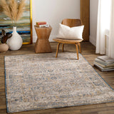 Surya Aspendos Traditional APS-2313 Rug APS2313-9122