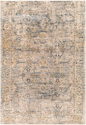 Surya Aspendos Traditional APS-2315 Rug APS2315-9122