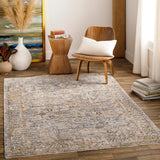 Surya Aspendos Traditional APS-2315 Rug APS2315-9122