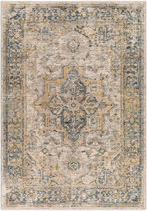 Surya Aspendos Traditional APS-2321 Rug APS2321-9122