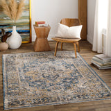 Surya Aspendos Traditional APS-2323 Rug APS2323-9122