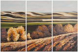 Harvest Dreams Wall Art Triptych Assorted and Natural Acrylic Abies Fabric Canvas