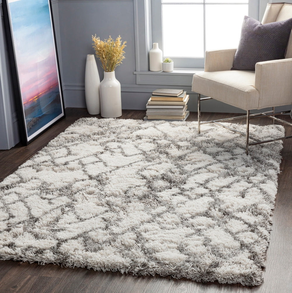 Alta shag ASG-2300 Modern Polypropylene Rug ASG2300-81012 White, Light Gray, Medium Gray 100% Polypropylene 8'10" x 12'