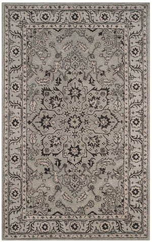 Safavieh Antiquity 58 Hand Tufted Wool Rug AT58A-2