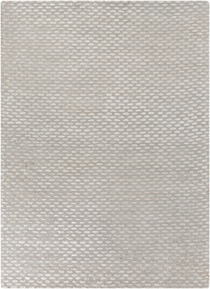 Atlantis ATL-6001 Modern Viscose, Wool Rug ATL6001-811 Medium Gray, Taupe 50% Viscose, 50% Wool 8' x 11'