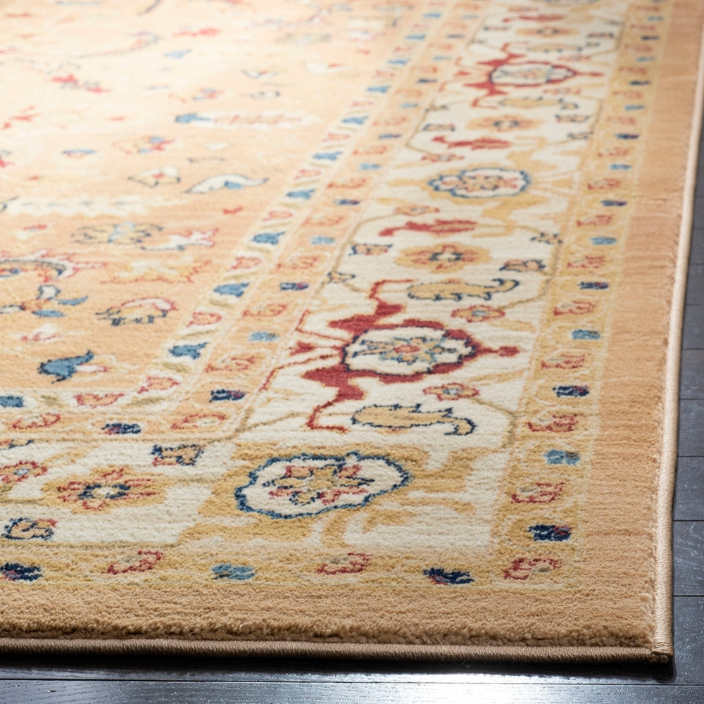 Safavieh Austin Aus1610 141 Rug
