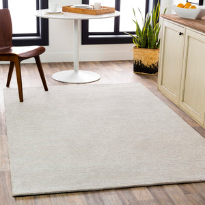 Austin AUS-2301 Modern NZ Wool, Viscose Rug AUS2301-912 Light Gray 50% NZ Wool, 50% Viscose 9' x 12'