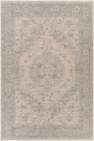 Avant Garde AVT-2302 Traditional Polyester, Polypropylene Rug